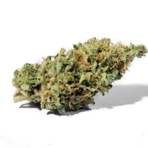 Oregon Skunk Bud S1