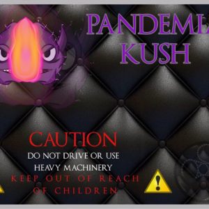 PANDEMIA KUSH