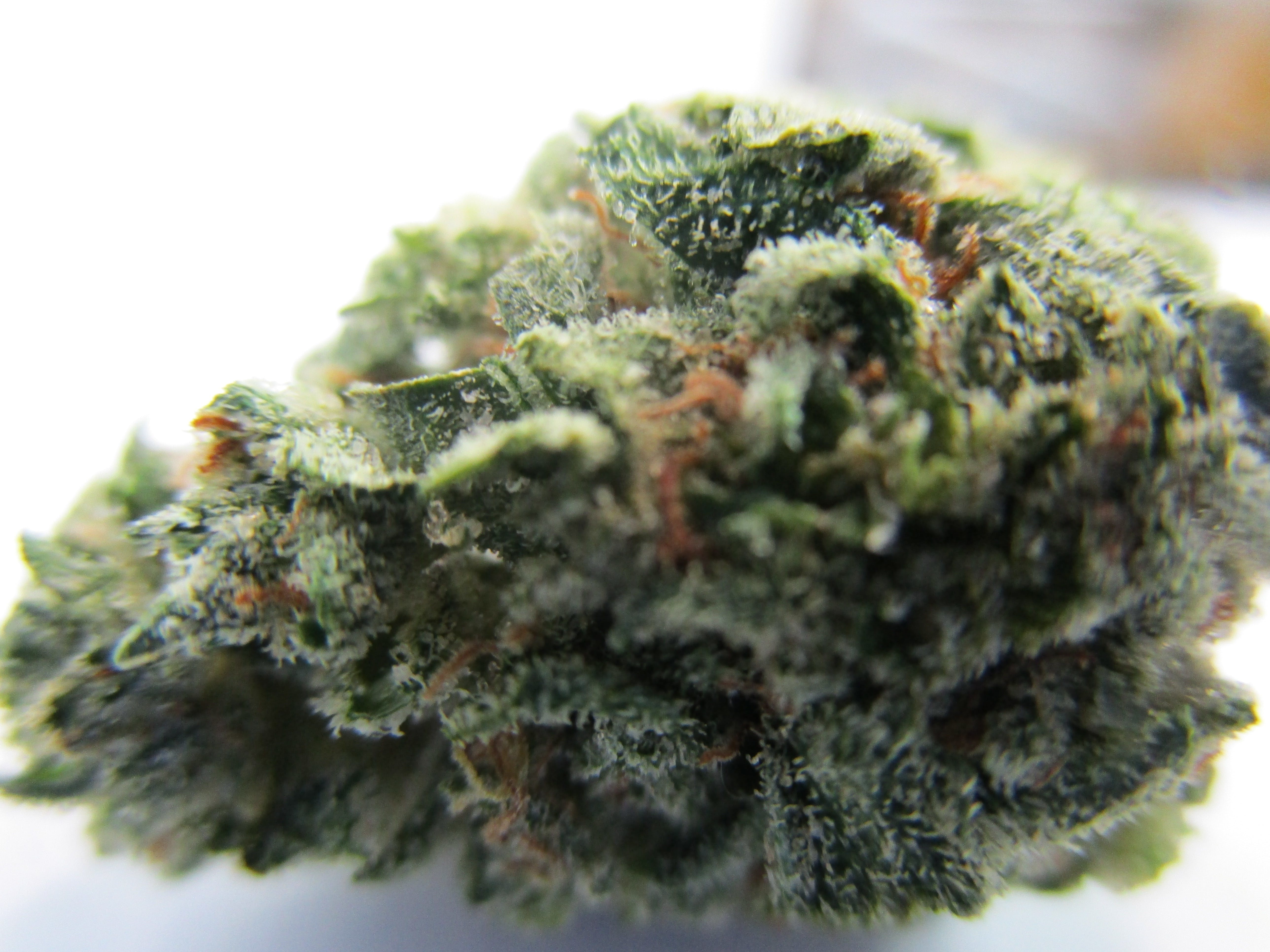 marijuana-dispensaries-23043-ventura-blvd-woodland-hills-phyllis-diller