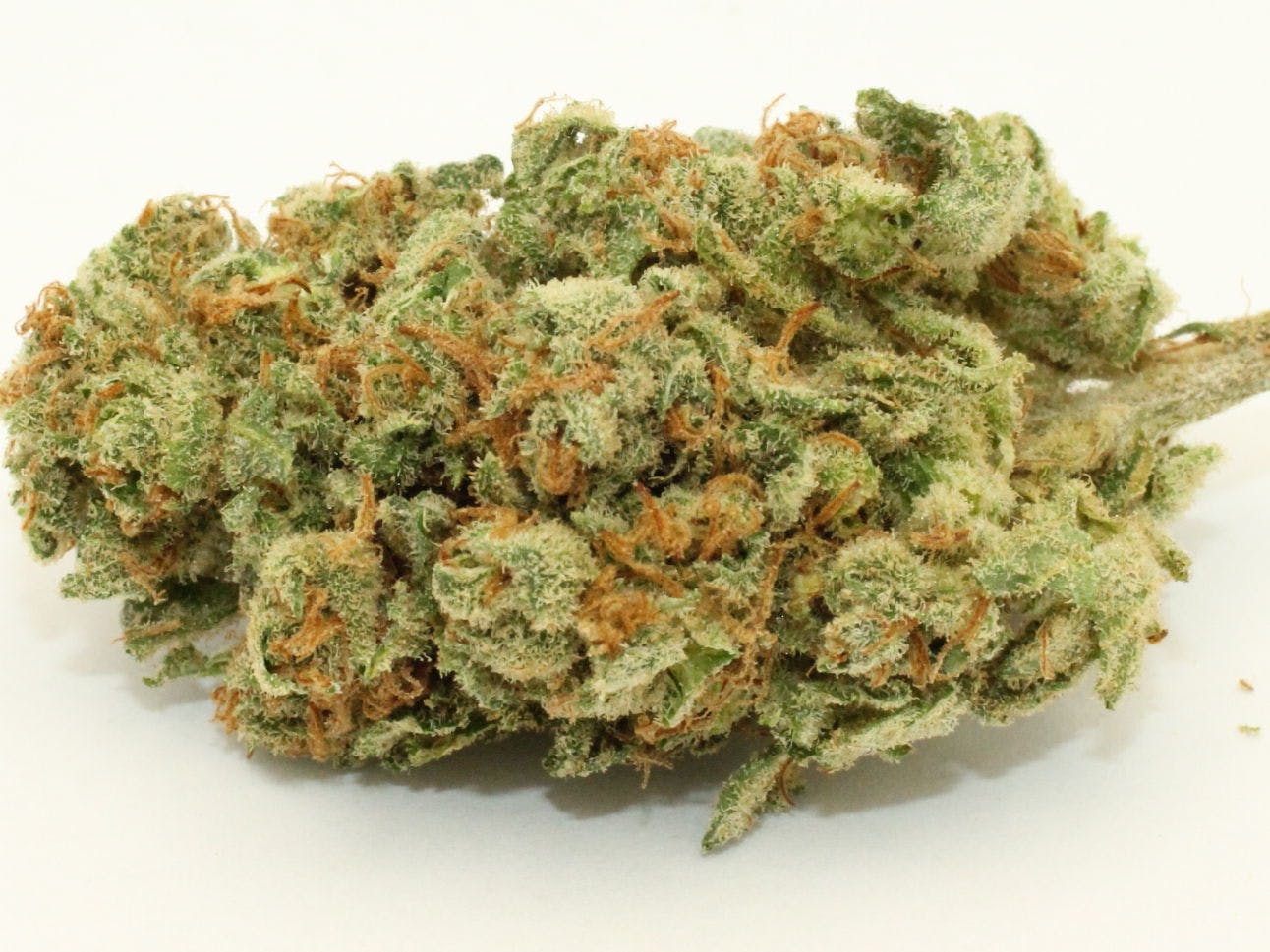 marijuana-dispensaries-1555-w-sepulveda-blvd-2c-suite-j-torrance-plain-jane-5g-4040