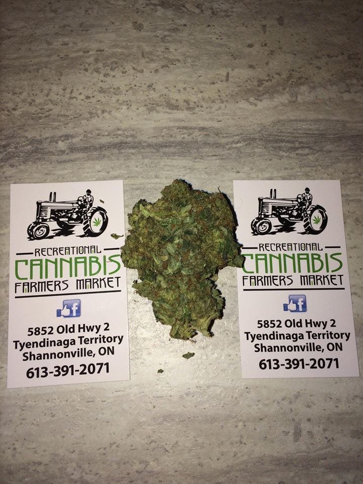 marijuana-dispensaries-recreational-cannabis-farmers-market-in-tyendinaga-territory-2c-shannonville-platinum-banana