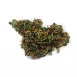 *PRIVATE RESERVE* JACK HERER (5G/35 2OZ/310 QP/600)