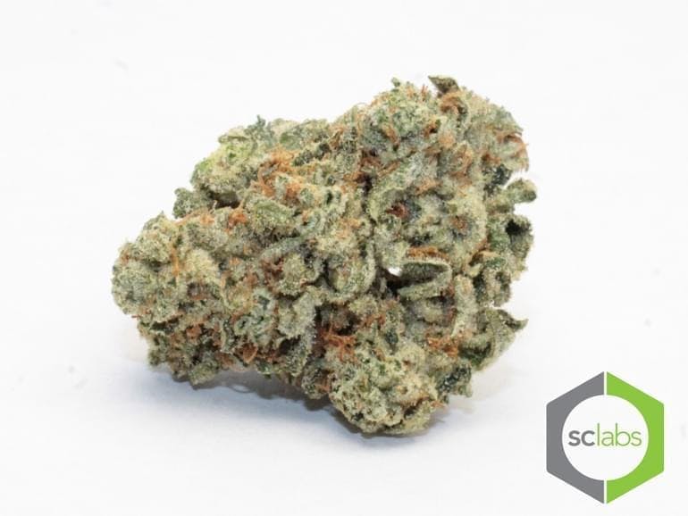 marijuana-dispensaries-anaheim-healing-center-25-cap-in-anaheim-private-reserve-super-glue