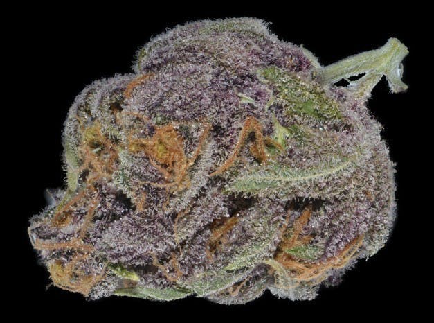 marijuana-dispensaries-1555-w-sepulveda-blvd-2c-suite-j-torrance-purple-dragon-5g-4055