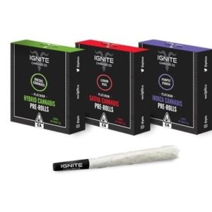 Purple Punch 5 Pack Preroll by Ignite