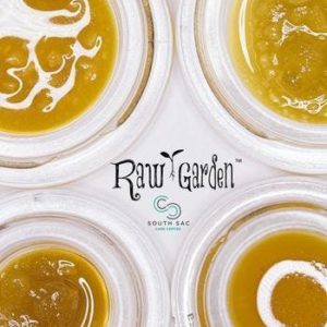 RG Chocolate Slurm Sauce 1 gram