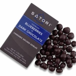 Satori Chocolate Blueberries 100mg