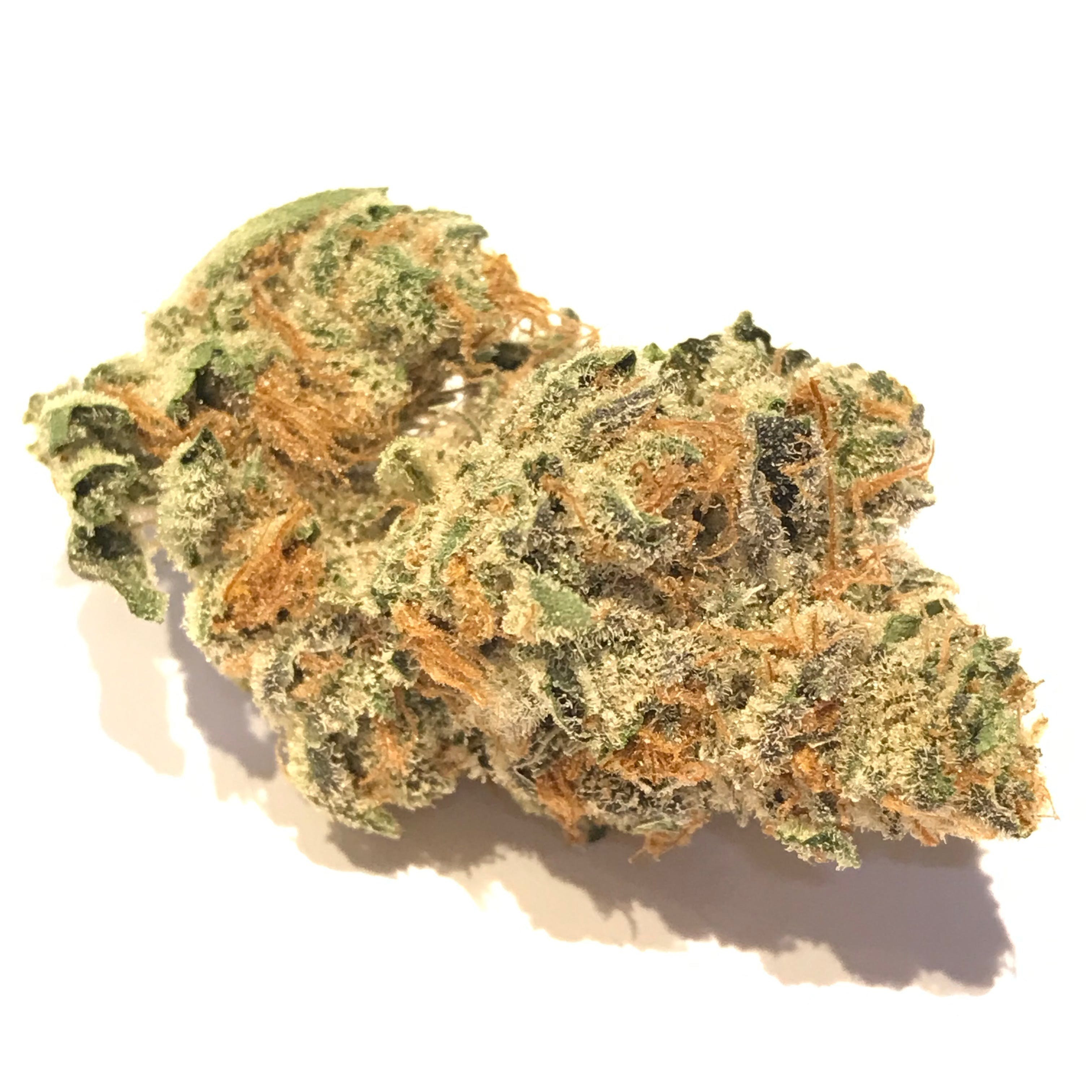 SF Cultivators: Orange Daiquiri