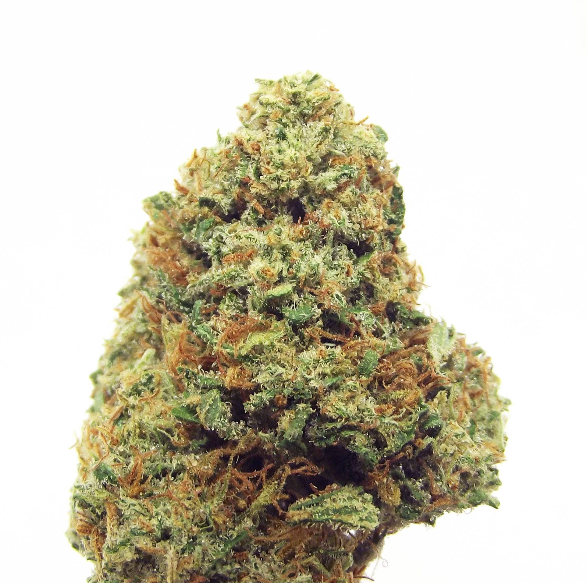 marijuana-dispensaries-1555-w-sepulveda-blvd-2c-suite-j-torrance-sfv-og-5g-4040