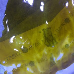 Shatter OZ