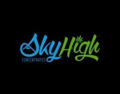 Sky High Cartridge 500mg