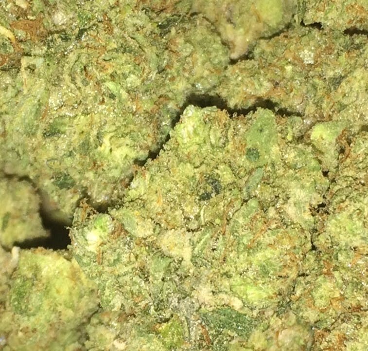 indica-skywalker-og-fresh