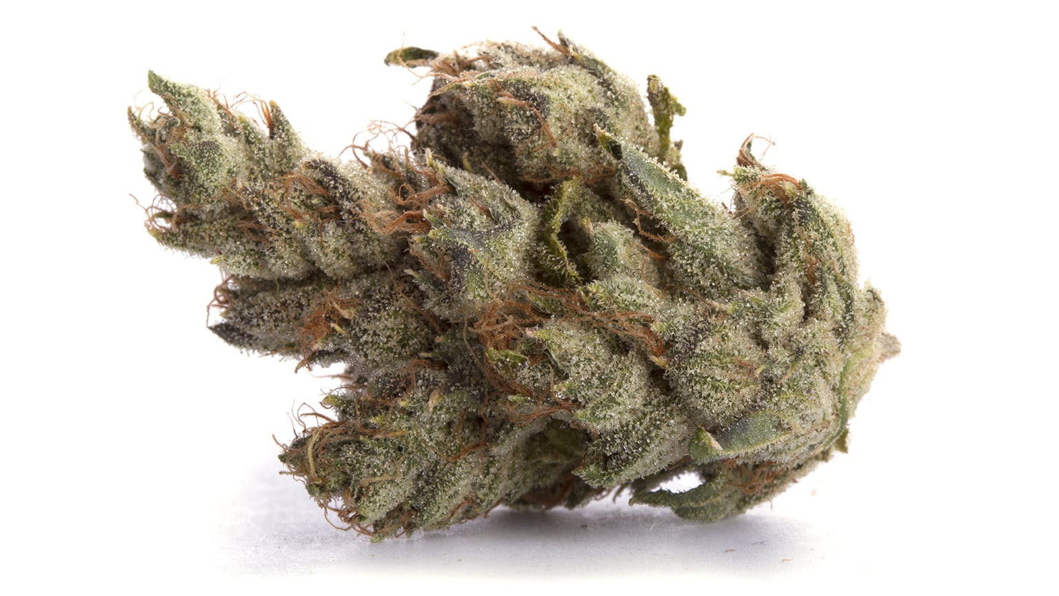 marijuana-dispensaries-4380-boulder-hwy-las-vegas-slv-og-shango-easya-c2-84c