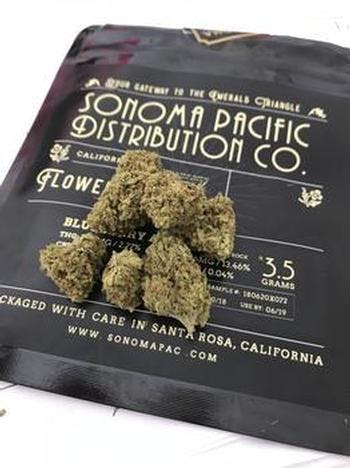 sativa-sonoma-pacific-in-the-pines-18th