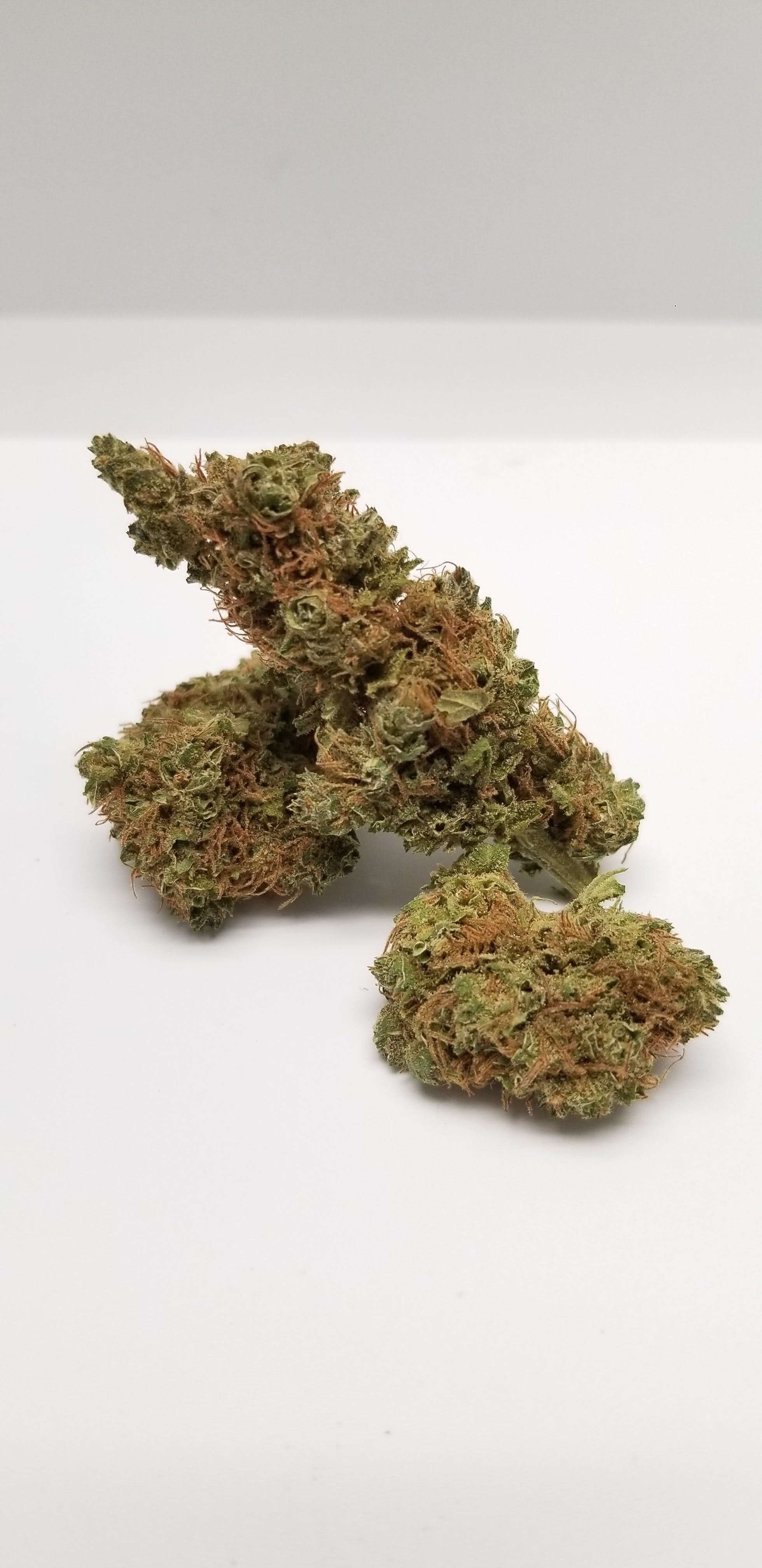 marijuana-dispensaries-6200-east-yale-avenue-denver-spectrum