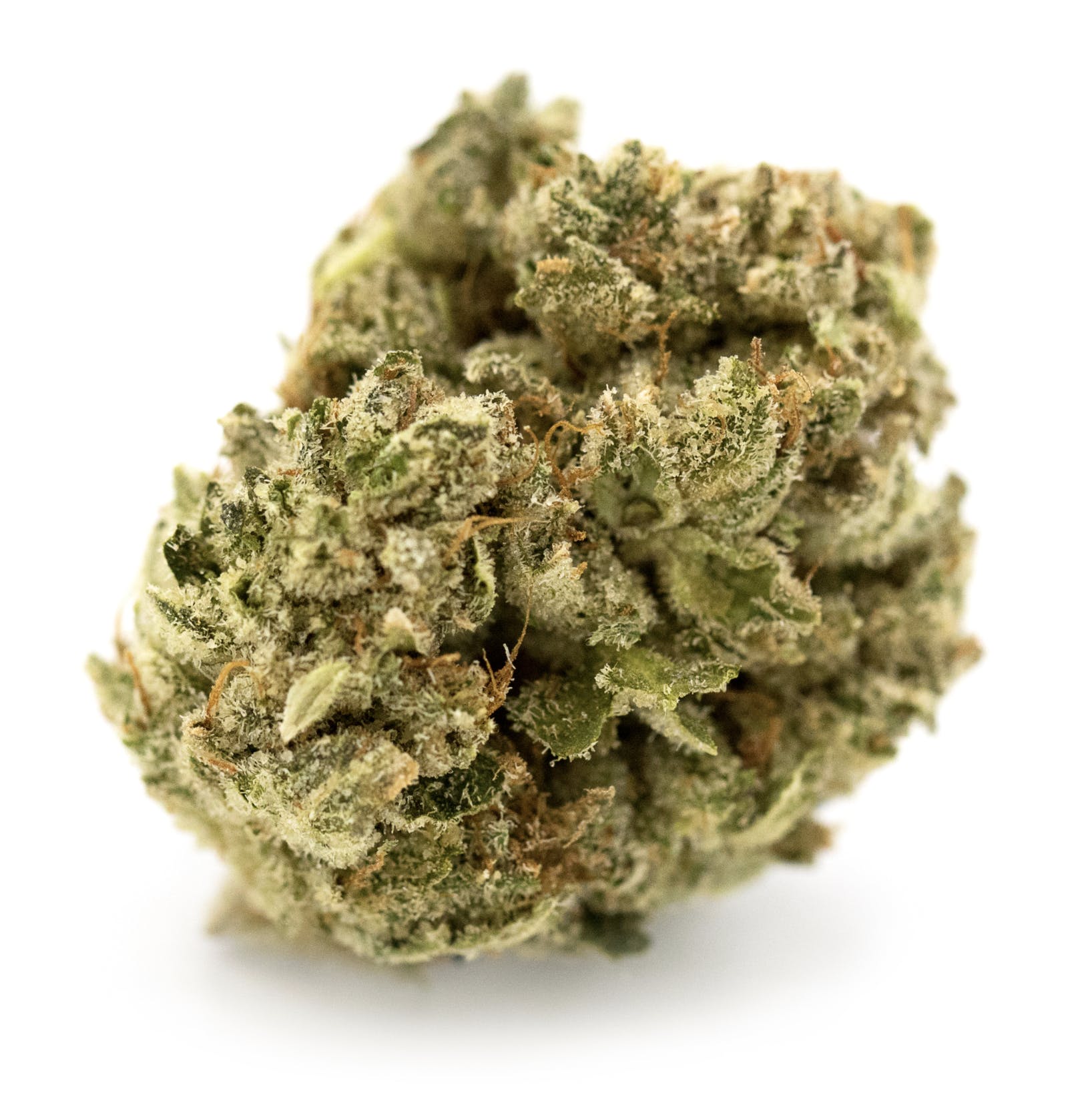 marijuana-dispensaries-5125-convoy-street-unit-23211-san-diego-super-glue-viola