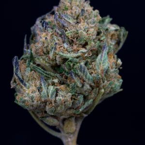 Tahoe Cookies | Haywire Farms