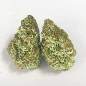 TOP SHELF: KING GLUE #3 OG