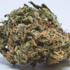 TOP SHELF: KNOCKOUT OG