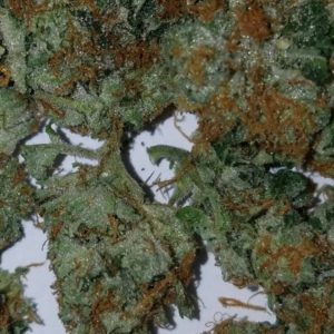 TOP SHELF: MR NICE OG