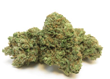 Top Shelf » Cinderella [5G @ 45]