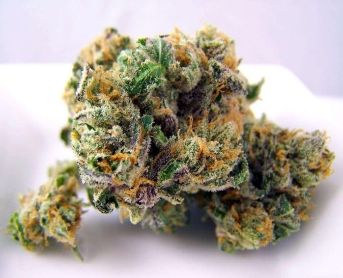 marijuana-dispensaries-lights-out-20-cap-in-gardena-topshelf-animal-cookies-2oz270-qp530