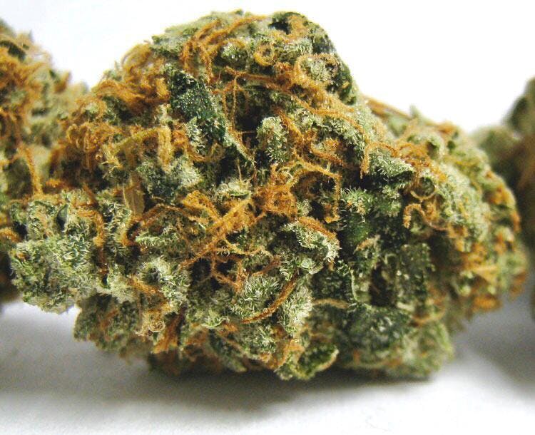 marijuana-dispensaries-whittier-wonders-in-whittier-topshelf-gorilla-glue-234-5g40-2oz390-qp760