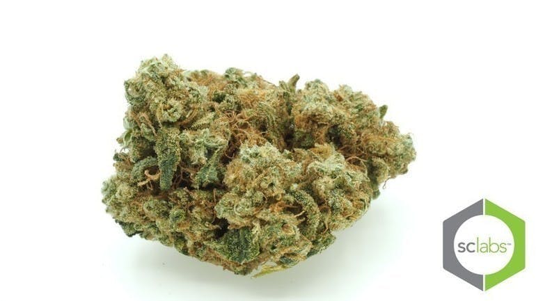 marijuana-dispensaries-1026-w-pacific-coast-wilmington-topshelf-hogs-breath-og-5-for-35