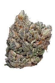 marijuana-dispensaries-lights-out-20-cap-in-gardena-topshelf-lemon-haze-2oz270-qp530