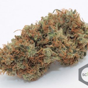 Topshelf - Slymer 5G @ $45