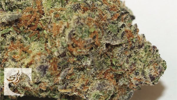 marijuana-dispensaries-4116-nature-center-road-pueblo-trim-cbd-mango-haze