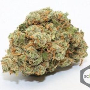 Tropical Haze - Premium