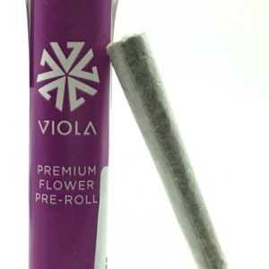 True Saint Preroll - Viola