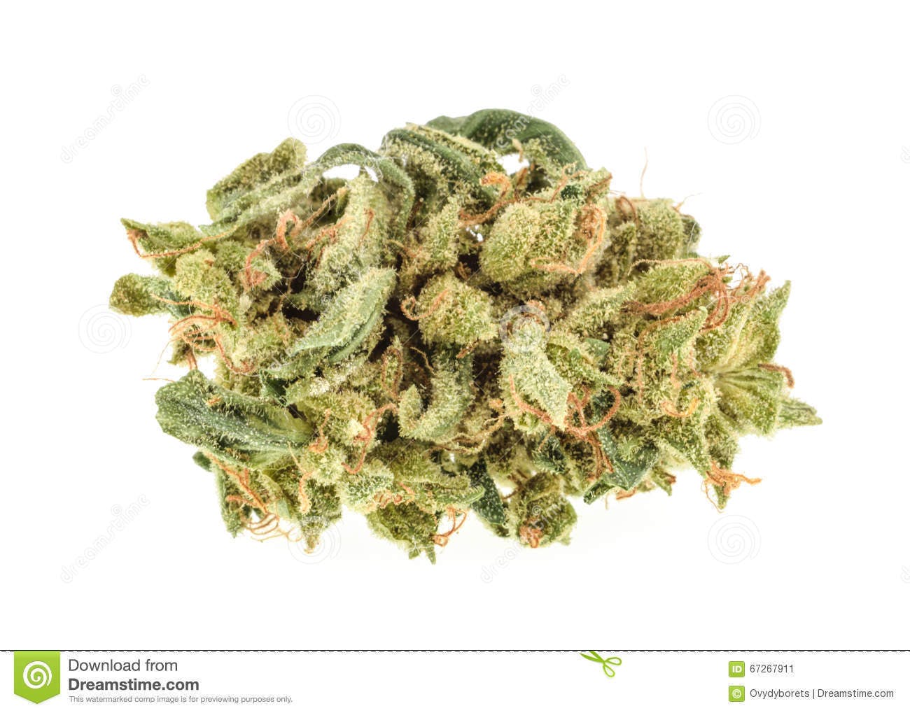 marijuana-dispensaries-4430-live-oak-ave-arcadia-vip-evil-morty-og