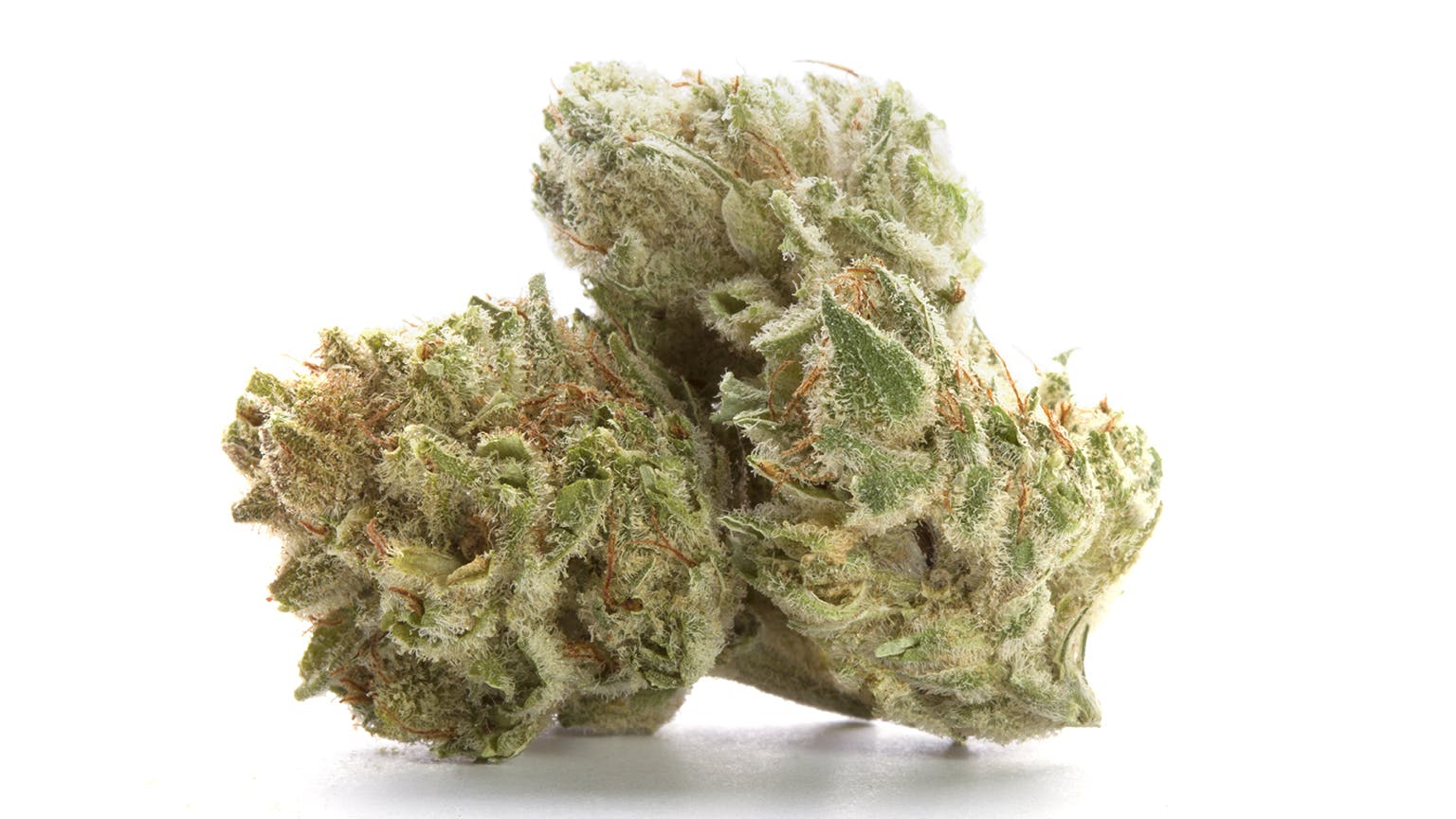 marijuana-dispensaries-4380-boulder-hwy-las-vegas-white-yeti