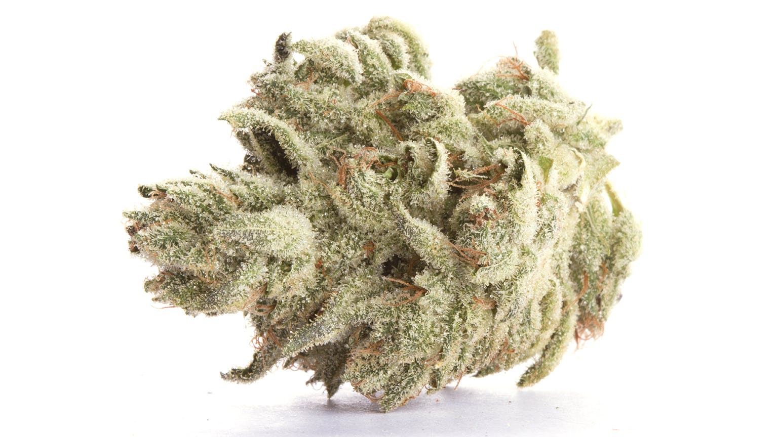 marijuana-dispensaries-4380-boulder-hwy-las-vegas-wookie-shango-easya-c2-84c