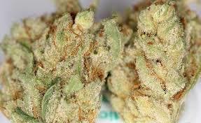 Xtreme OG